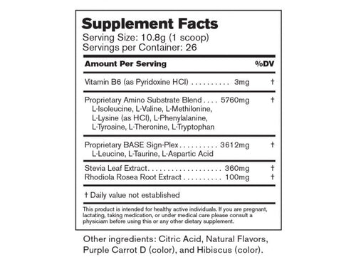 BASE Amino – EAA + BCAA Recovery Drink Mix (Strawberry)